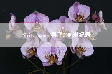 北流男子5000米纪录