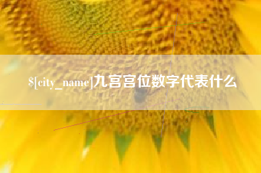 北流九宫宫位数字代表什么