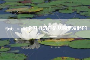 北流全国消防日是从哪年发起的