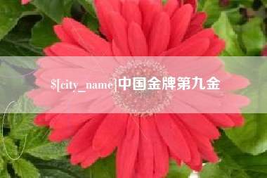 北流中国金牌第九金