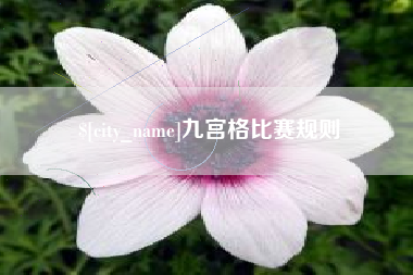 北流九宫格比赛规则
