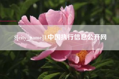 北流1.中国执行信息公开网