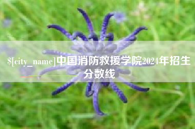 北流中国消防救援学院2024年招生分数线