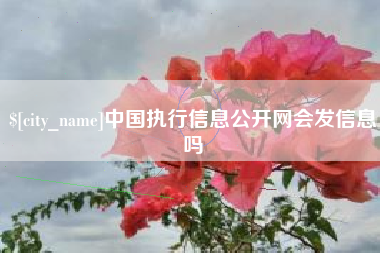 北流中国执行信息公开网会发信息吗