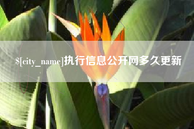 北流执行信息公开网多久更新