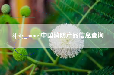 北流中国消防产品信息查询