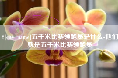 北流五千米比赛领跑员是什么-他们就是五千米比赛领跑员