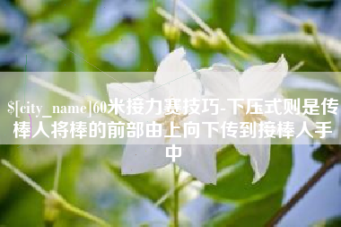 北流60米接力赛技巧-下压式则是传棒人将棒的前部由上向下传到接棒人手中