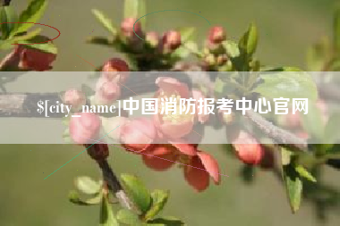 北流中国消防报考中心官网