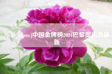 北流中国金牌榜2024巴黎奥运会最新