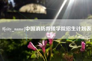 北流中国消防救援学院招生计划表