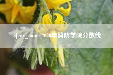 北流2020年消防学院分数线