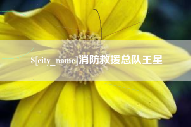 北流消防救援总队王星
