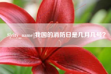北流我国的消防日是几月几号？