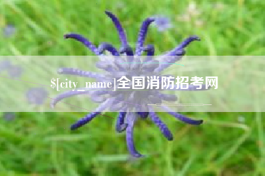 北流全国消防招考网