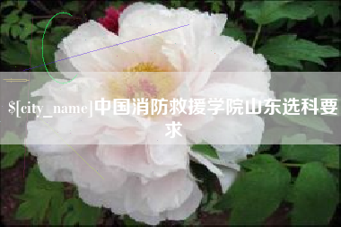 北流中国消防救援学院山东选科要求