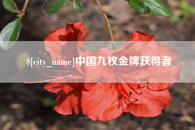 北流中国九枚金牌获得者