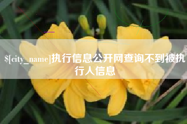 北流执行信息公开网查询不到被执行人信息