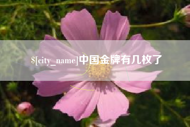 北流中国金牌有几枚了