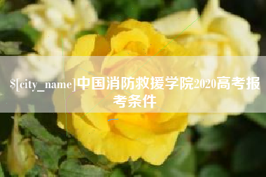 北流中国消防救援学院2020高考报考条件