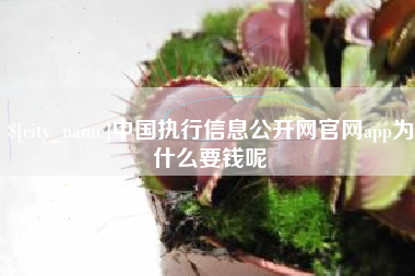 北流中国执行信息公开网官网app为什么要钱呢