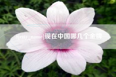 北流现在中国哪几个金牌