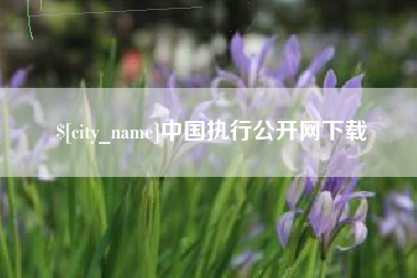 北流中国执行公开网下载
