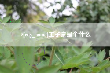 北流王子豪是个什么