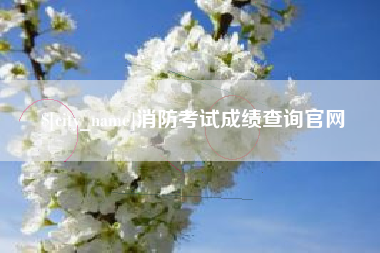 北流消防考试成绩查询官网