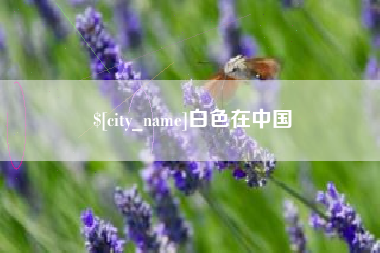 北流白色在中国