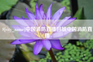 北流中国消防直播回放中国消防直播