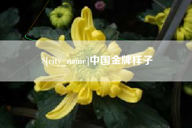 北流中国金牌样子