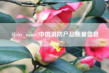 北流中国消防产品质量信息
