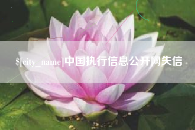 北流中国执行信息公开网失信
