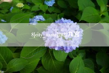 北流2022九宫