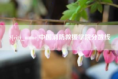 北流中国消防救援学院分数线