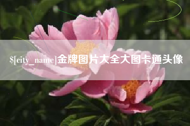 北流金牌图片大全大图卡通头像