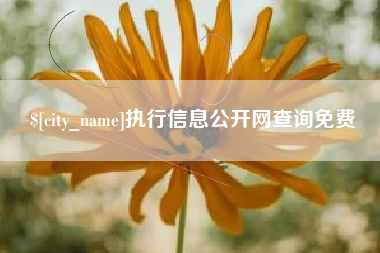 北流执行信息公开网查询免费