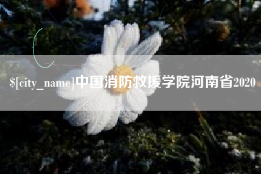 北流中国消防救援学院河南省2020